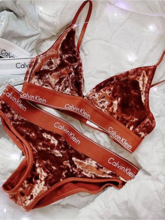 Calvin Klein Other - Calvin Klein Velvet Triangle Bralette in Wine